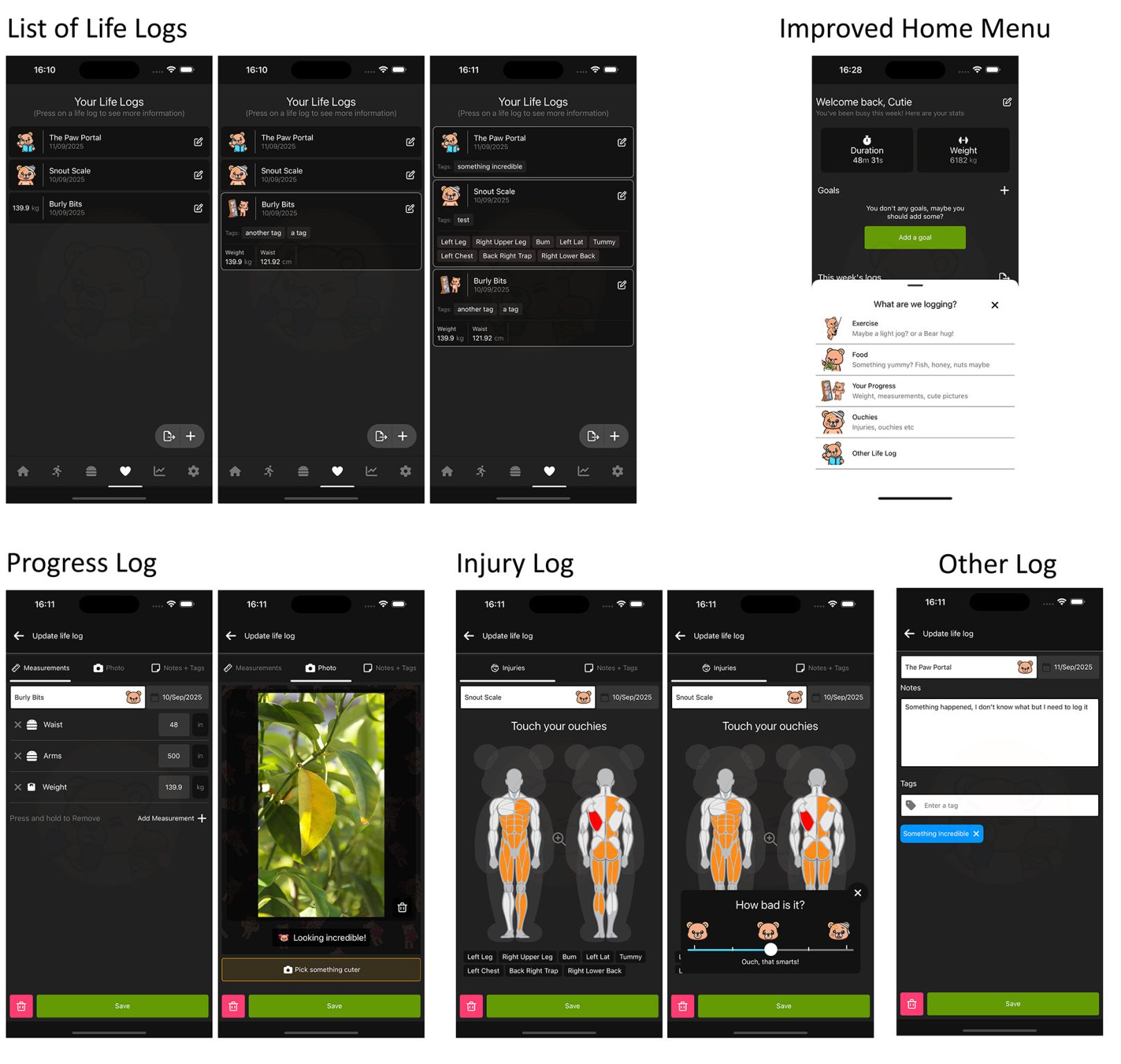 Examples of life logs
