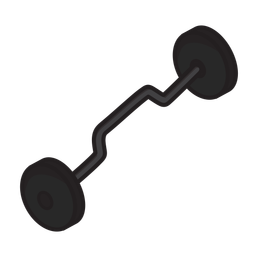 Curl Bar