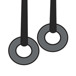 Gym Rings