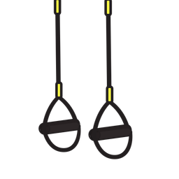 Suspension Straps