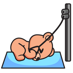 Cable Crunch