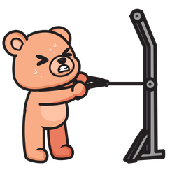 Rope Face Pull