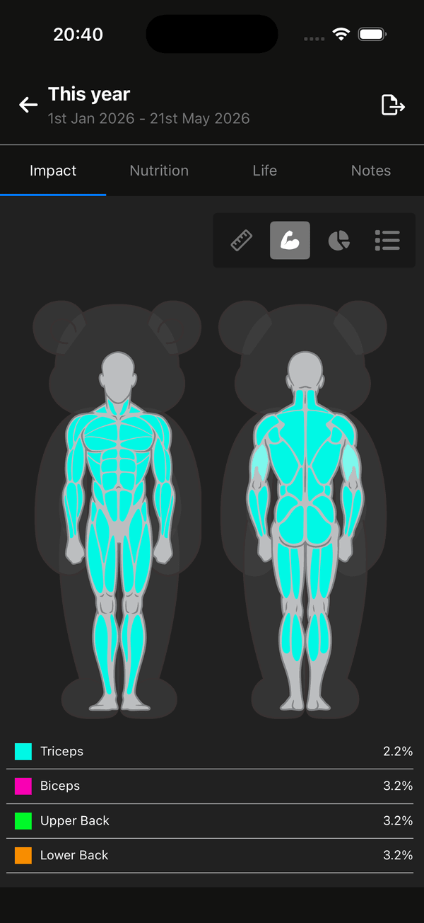 Muscle impact map